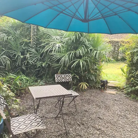 Bed & Breakfast Maison Maisy Navarrenx