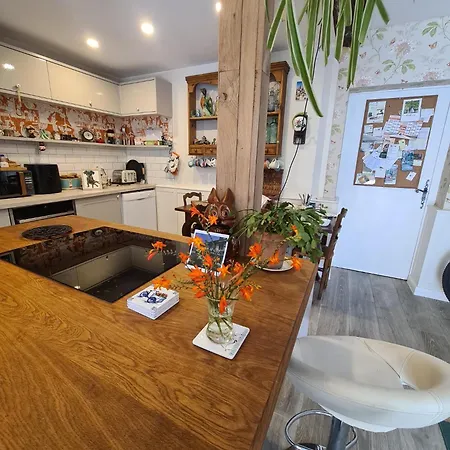 فندق مبيت وإفطار Maison Maisy Navarrenx