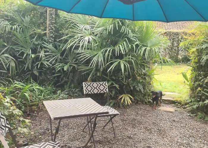 Bed and Breakfast Maison Maisy Navarrenx